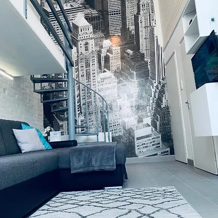 Cornflower * Hajdúszoboszló