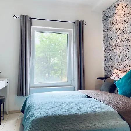 Cornflower * Hajdúszoboszló