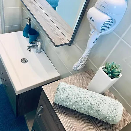 Cornflower * Hajdúszoboszló