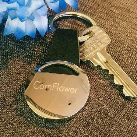 Cornflower Apartment *