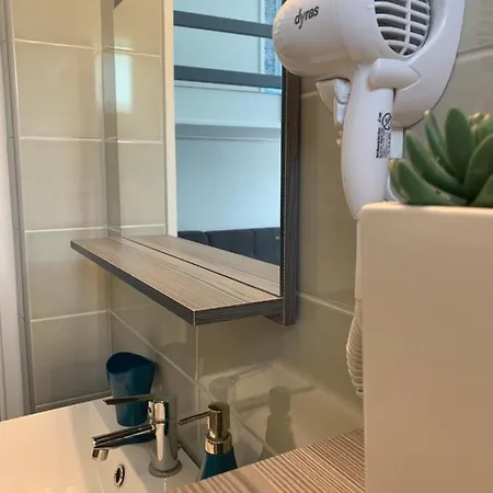 Cornflower * Hajdúszoboszló