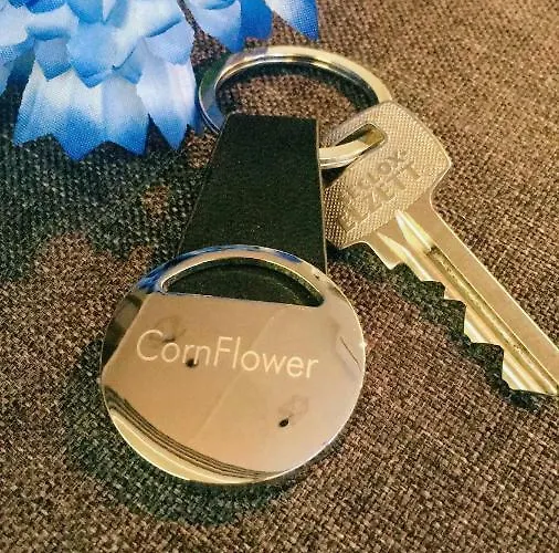 Cornflower Апартаменты *